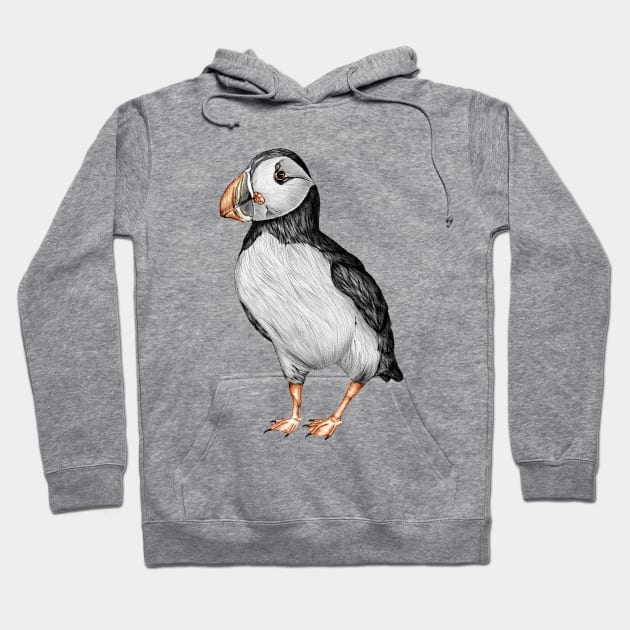 Little Puffin Hoodie by ECMazur